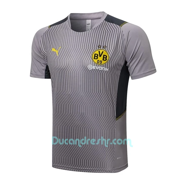 BVB Borussia Dortmund Trening Dres Komplet 2022/23 Svijetlo-Siva