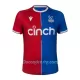 Dres Crystal Palace Domaći 2023/24