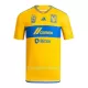 Dres Tigres UANL Domaći 2023/24