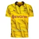 Dres Borussia Dortmund Cup 2023/24