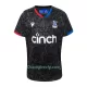 Dres Crystal Palace Treći 2023/24