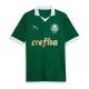 Dres Palmeiras Domaći 2024/25