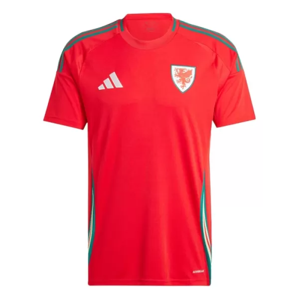 Dres Wales Domaći 2024