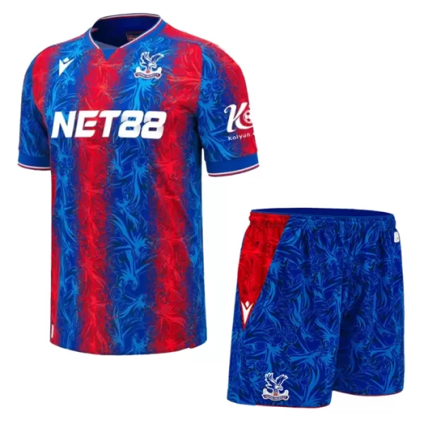 Dres Crystal Palace Dječji Domaći 2024/25