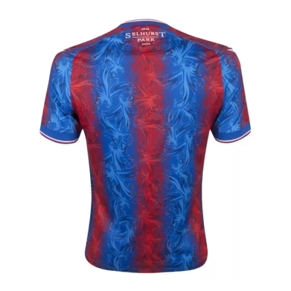 Dres Crystal Palace Dječji Domaći 2024/25