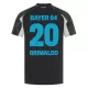 Dres Bayer 04 Leverkusen Alejandro Grimaldo 20 Dječji Treći 2024/25