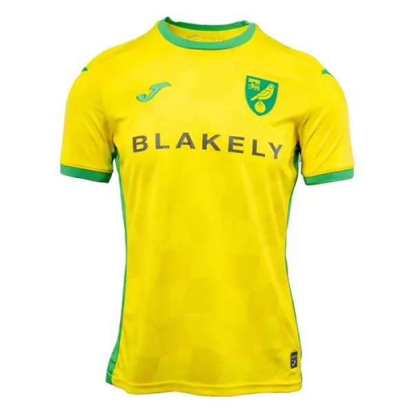 Dres Norwich City Domaći 2024/25