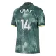 Dres Tottenham Hotspur Gray 14 Treći 2024/25